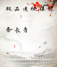 极品透视保镖