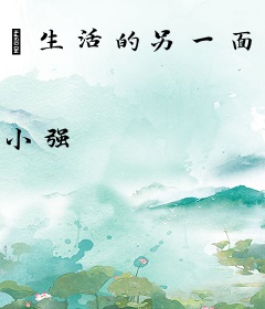 【生活的另一面】高H版小说