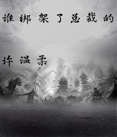 谁绑架了总裁的宝贝弟弟