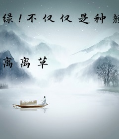 绿！不仅仅是种颜色