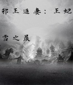 邪王追妻：王妃第99次闯江湖
