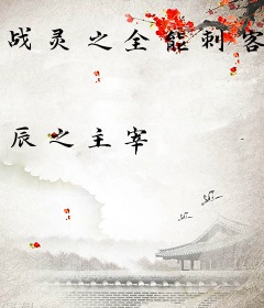 战灵之全能刺客