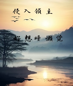 侵入领主